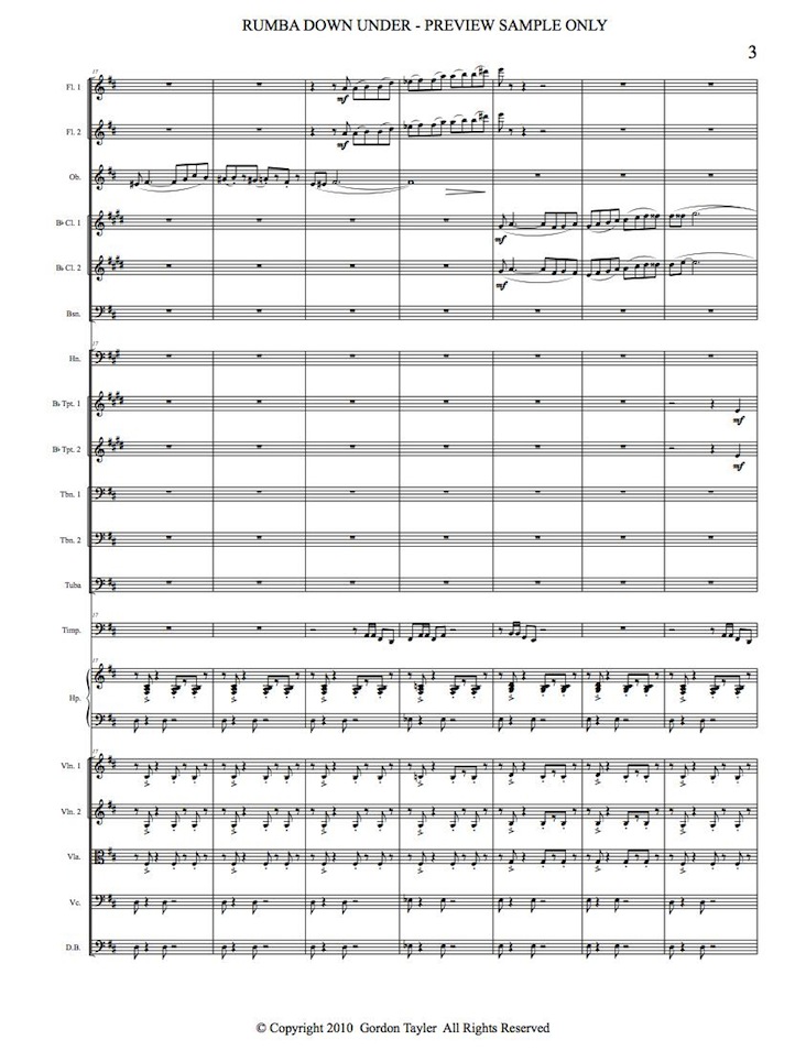 038_RUMBA_DOWN_UNDER_preview_sample_03