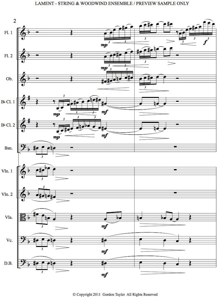039_LAMENT_pdf_Preview_Sample_string_&_woodwind_ensemble_3-04-11-2