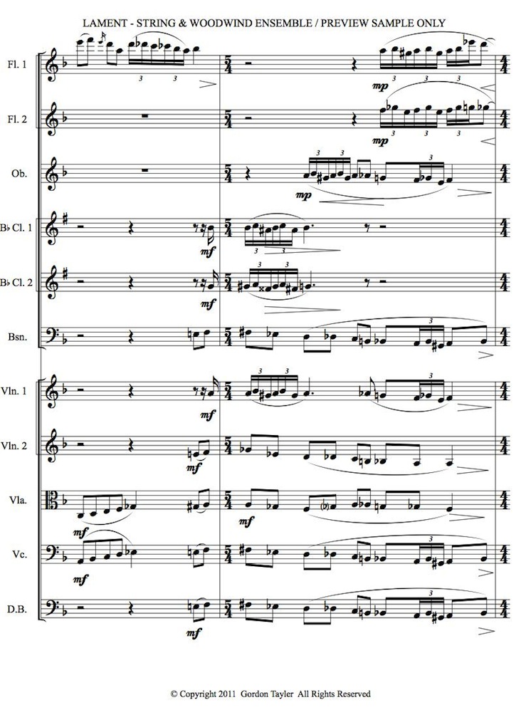 039_LAMENT_pdf_Preview_Sample_string_&_woodwind_ensemble_3-04-11-3