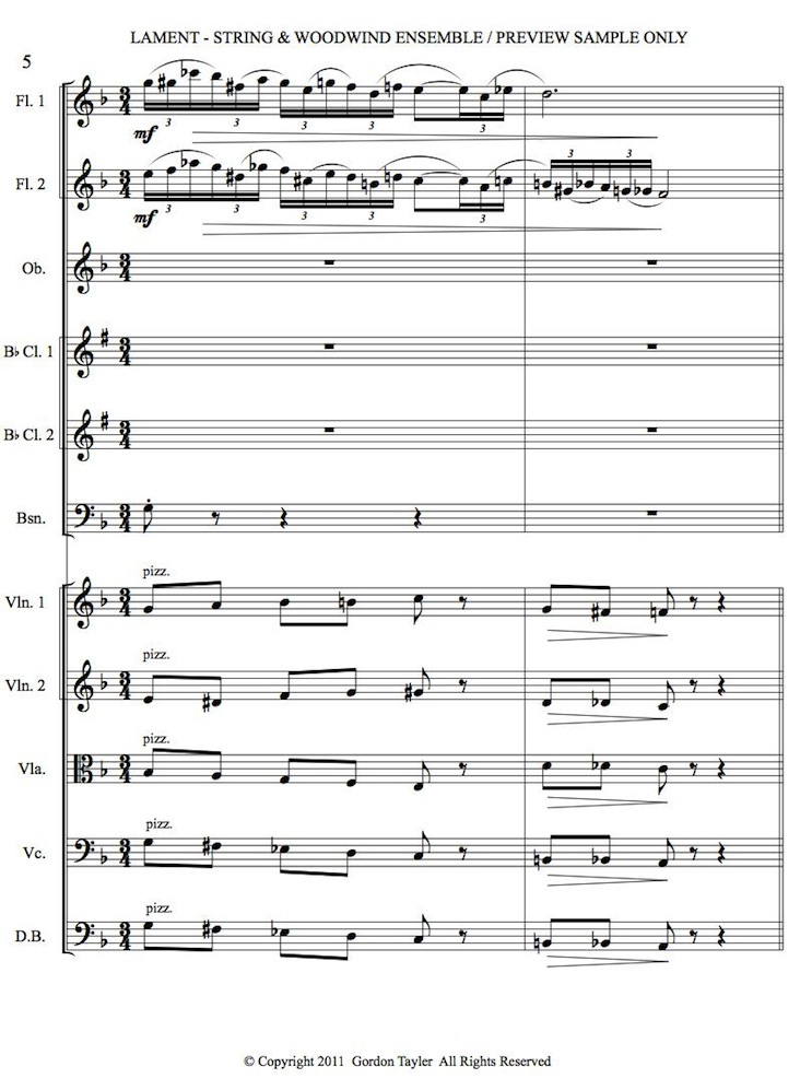 039_LAMENT_pdf_Preview_Sample_string_&_woodwind_ensemble_3-04-11-5